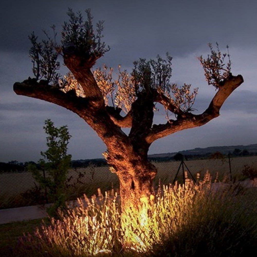 Projecteur Noir Alu A POSER 30 - 10W - 3000°K