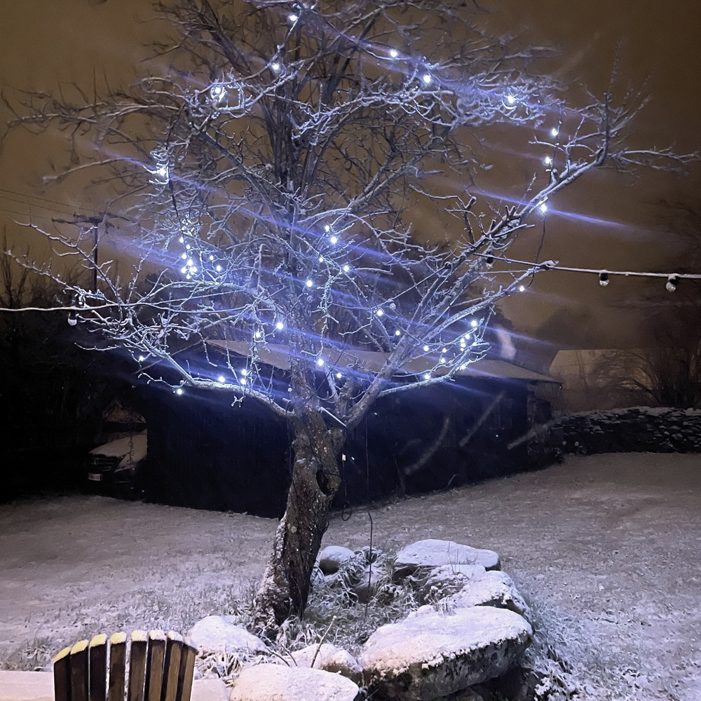 9543 - EXTENSION - Frange courte 60 LEDS (Flash) - L 3 m x H 40 cm -  Fil Noir - Blanc Froid 6500°K